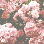 Grace - @gracemurtagh_ - Instagram