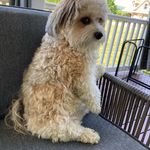grace - @murtagh_grace1 - Instagram