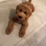 Ollie Grace Nagy - @olliegracenagy - Instagram