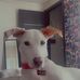 Grace Najera - Facebook