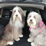Grace Needham - @graceneedham421 - Instagram