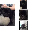 grace_nelligan - @grace_nelligan1 - TikTok
