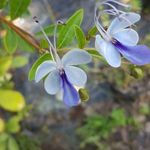 gracien niclin - @gracienniclin - Instagram