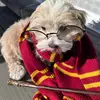 Grace and Nino - @grace.rom - TikTok