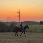 Dixie Grace Odom - @dixiegrace06 - Instagram