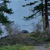 Grace odom - @grace.a710 - TikTok
