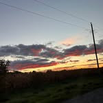 Grace oldham - @graceoldham24 - Instagram