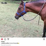 graceoldham - @vonyk1951 - Instagram