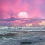 Grace Overton - @wolvesnightfall5678 - Instagram