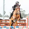 Grace Overton - @graceoverton_showjumping - TikTok