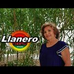 Ann Grace Paez - @anngracepaez - Instagram