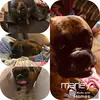 annaparham945 - @annagraceparham1 - TikTok