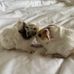 Grace Parkin - Facebook