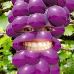 Grace Parrott - @a.grape.in.norway - Instagram