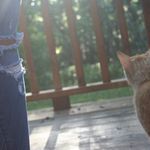 Grace Pease - @forever_joy.ful - Instagram