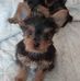 Gracie Pease - Facebook