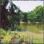 Sachiko Michaud - @gracepecorahpa - Instagram