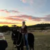 Grace… - @.grace.pedersen - TikTok