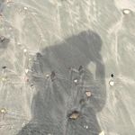 gracie - @_grace_peek_ - Instagram