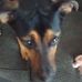 Grace Perdue - Facebook