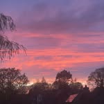 Grace Perryman - @xgrace_pxx - Instagram