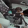 Grace Plummer - @roothedaxi20 - TikTok