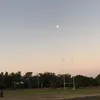 gracepollock8 - @gracepollock00 - TikTok