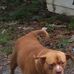 Grace Poole - Facebook