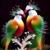 Grace Pride - @grace.pride3 - TikTok