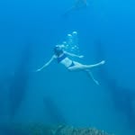 grace - @grace_purcell - Instagram