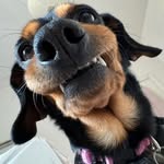 Grace Purcell - @grace_purcell1 - Instagram