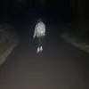 GRACE_PURCELL👌 - @grace.purcell0 - TikTok