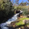 grace.redden - @grace.redden - TikTok