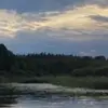 GraceRicci - @gracericci0 - TikTok