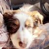 Gracerich - @grace.rich1 - TikTok