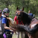 Grace Carter | National Champion Endurance Rider - @breezy_grace1 - Instagram