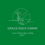 Grace Rock Farm - @grace_rock_farms - Instagram