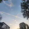 Grace - @grace_roe2 - TikTok