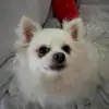 grace - @_gracerooney_ - TikTok