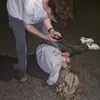 Grace Rooney - @grace.rooney6 - TikTok