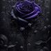 Gracie Ryder - Facebook