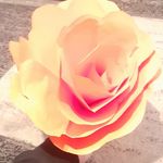 Grace Sargent - @sargent4256 - Instagram