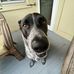 Grace Sarver - Facebook