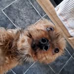 Grace Saunders - @saundersgrace - Instagram