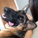 Schatzi Grace - @schatzi_grace - Instagram