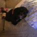 Grace Schmidt - Facebook
