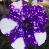 Grace Schmidt - @gschmidt170 - TikTok
