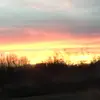 elliegracesears22 - @elliegrcesears22 - TikTok
