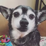 Grace Nowle Sears - @gracenowle - Instagram