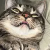 Grace Seiter - @not_sograceful - TikTok